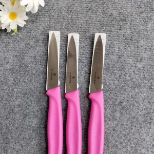 Dao gọt hoa quả, trái cây Victorinox mũi nhọn